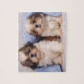 Puzzle Chih Tzu chippies sous une couverture contrôlée (Vertical)