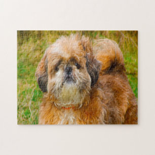 Puzzle Chih Tzu Dog Jigsaws.