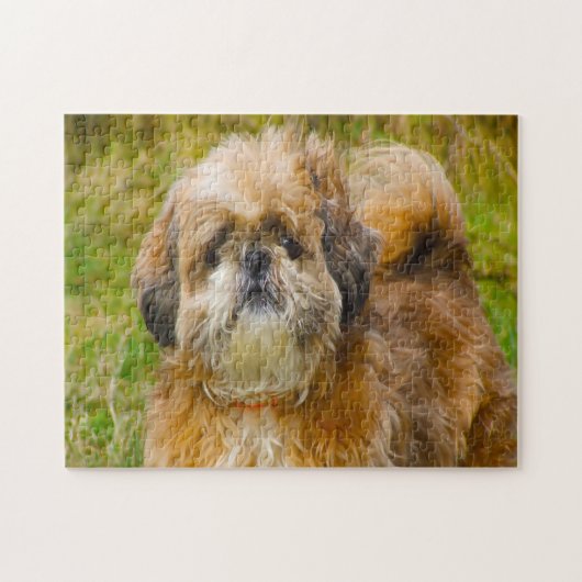 Puzzle Chih Tzu Dog Jigsaws. (Horizontal)