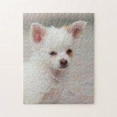 Puzzle Chihuahua chippy dans un jardin (Vertical)