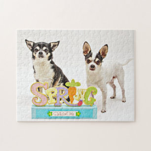Puzzle Chihuahua du printemps