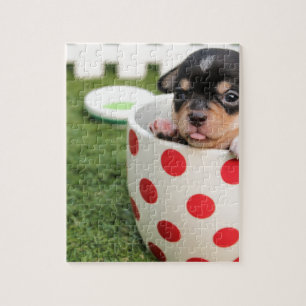 Puzzle Chihuahua noir chippy dans une tasse à tache rouge