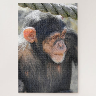 Puzzle Chimpanzé