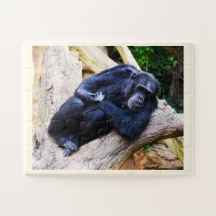 Puzzle Chimpanzé