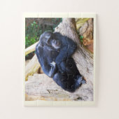 Puzzle Chimpanzé (Vertical)