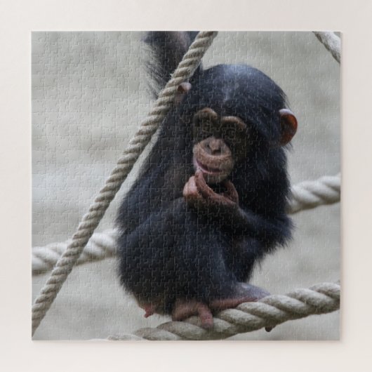 Puzzle Chimpanzé 030 (Vertical)