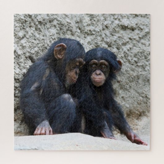Puzzle Chimpanzé 2020-03-01 (Vertical)