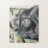 PUZZLE CHIMPANZÉS (Vertical)