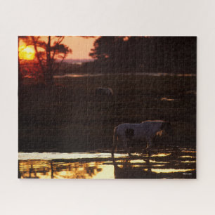 Puzzle Chincoteague marche dans l'eau au coucher du solei
