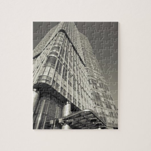 Puzzle Chine, Pékin, district de Chaoyang. Fortune Plaza (Vertical)