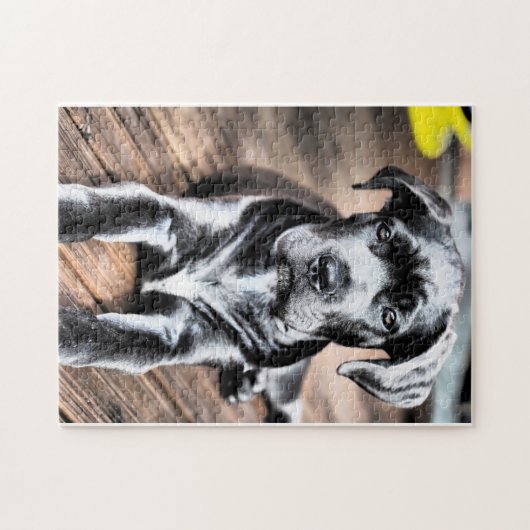 Puzzle chiot 2.png de corso de canne (Horizontal)