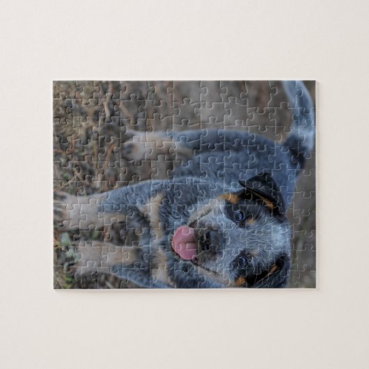 Puzzle Chiot australien de bétail (Horizontal)