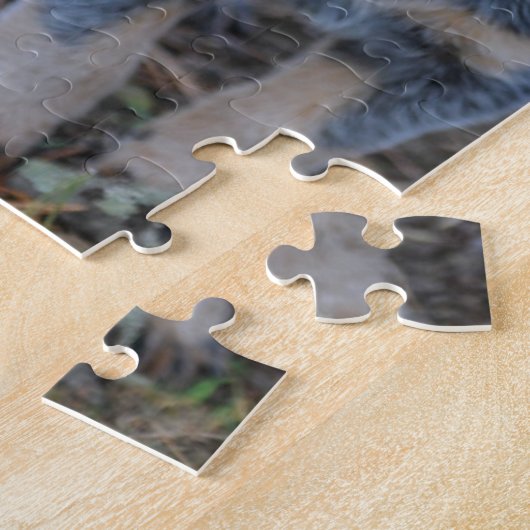 Puzzle Chiot australien de bétail (Côté)