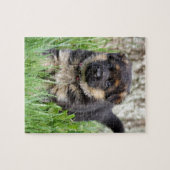 Puzzle Chiot berger allemand (Horizontal)
