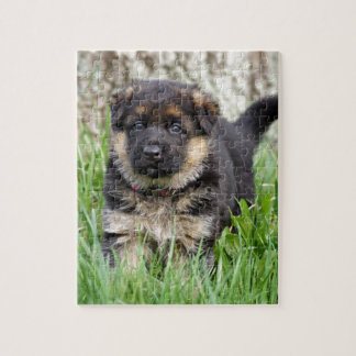Puzzle Chiot berger allemand