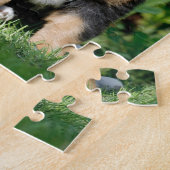 Puzzle Chiot bernois (Côté)