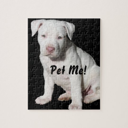 Puzzle Chiot Blanc De Pitbull De Bebe Zazzle Be Puzzle Chiot Blanc De Pitbull De Bebe Zazzle Be