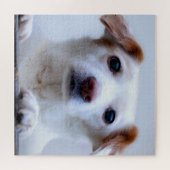 Puzzle Chiot Blanc Mignon (Horizontal)
