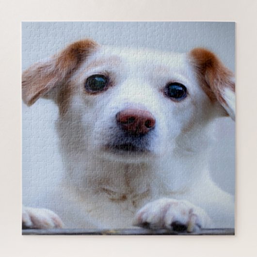 Puzzle Chiot Blanc Mignon (Vertical)