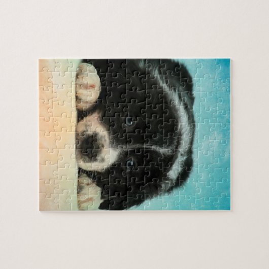 Puzzle Chiot de border collie (Horizontal)