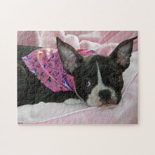 Puzzle Chiot de Boston Terrier (Horizontal)