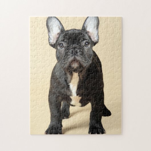 Puzzle Chiot de bouledogue français (Vertical)