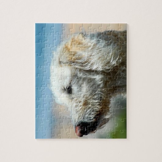 Puzzle Chiot de Labradoodle (Vertical)
