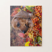 Puzzle Chiot de l'automne Dachshund (Vertical)