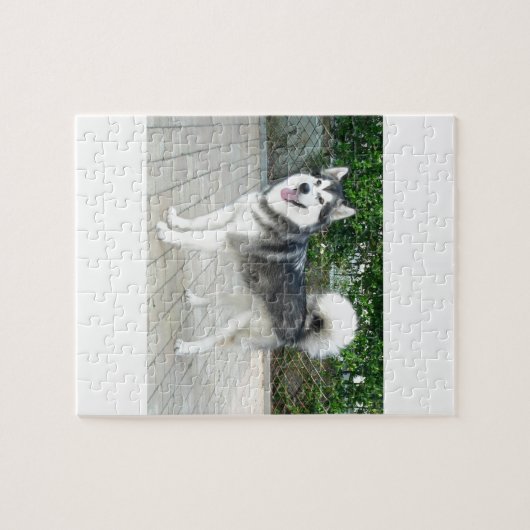 Puzzle Chiot de Malamute d'Alaska (Horizontal)