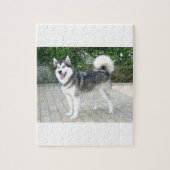 Puzzle Chiot de Malamute d'Alaska (Vertical)