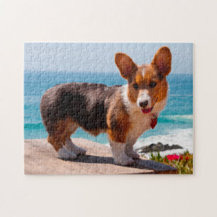 Puzzle chiot de Pembroke Welsh Corgi debout sur une table