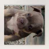 Puzzle Chiot de race brute (Horizontal)