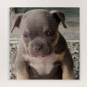 Puzzle Chiot de race brute (Vertical)