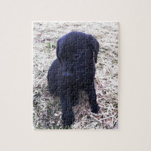 Puzzle Chiot de récupération Black Labrador (Vertical)