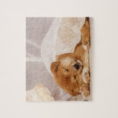 Puzzle Chiot de Shiba Inu dormant sous un rideau net (Vertical)