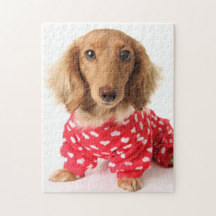 Puzzle Chiot de teckel utilisant l'équipement de