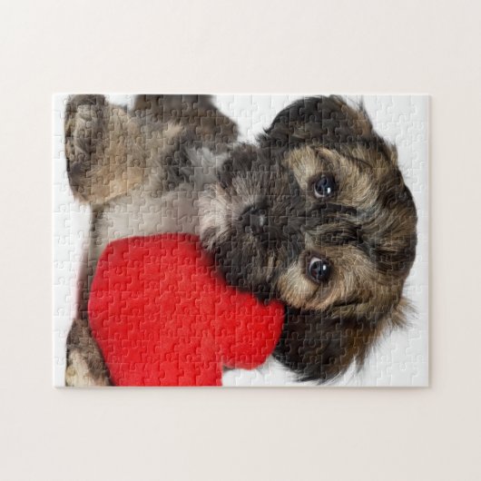 Puzzle Chiot de Valentine Havanese d'amant (Horizontal)