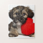 Puzzle Chiot de Valentine Havanese d'amant (Vertical)