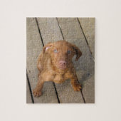 Puzzle chiot de vizsla (Vertical)