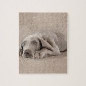 Puzzle Chiot de Weimaraner (Vertical)