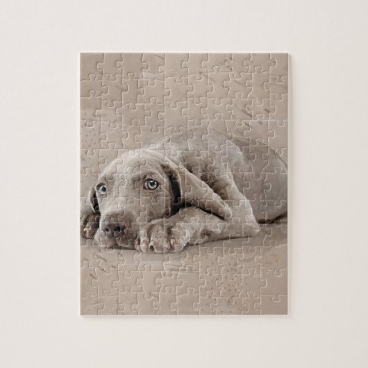 Puzzle Chiot de Weimaraner (Vertical)