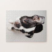 Puzzle Chiot d'Edison Boston Terrier (Horizontal)