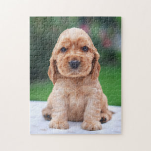 Puzzle Chiot d'épagneul de Coker