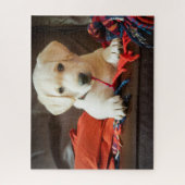 Puzzle Chiot des images | de Getty sur un sofa (Vertical)