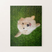 Puzzle Chiot d'or rétriever sur l'herbe (Vertical)