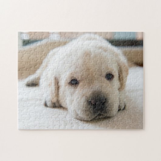 Puzzle Chiot doré du Labrador doré (Horizontal)