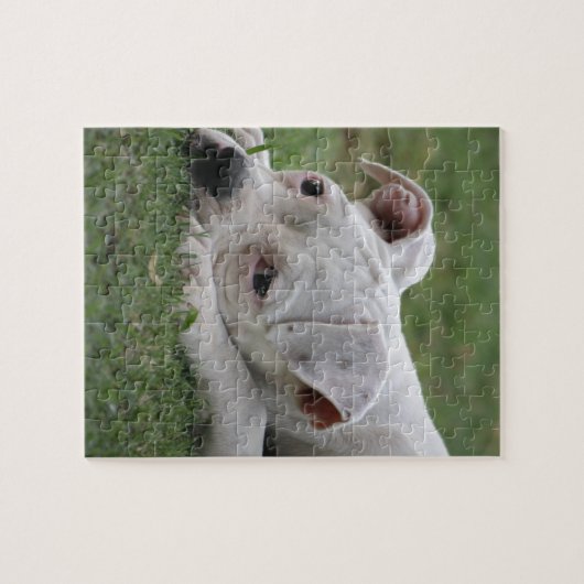 Puzzle Chiot doux de boxeur (Horizontal)