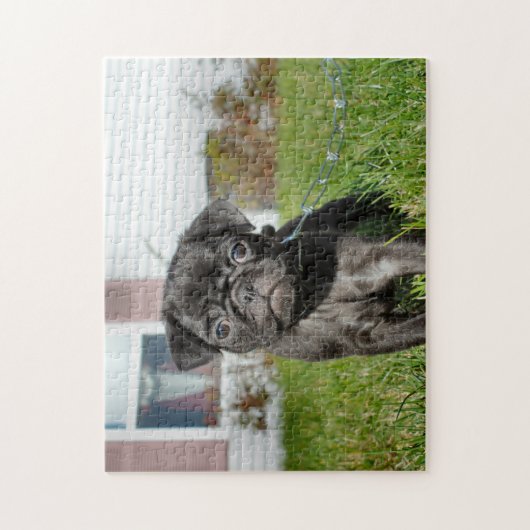 Puzzle Chiot en Carlin noir (Vertical)
