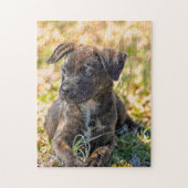 Puzzle Chiot et oignon sauvage (Vertical)