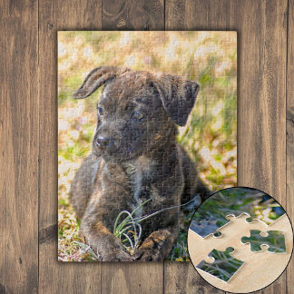 Puzzle Chiot et oignon sauvage